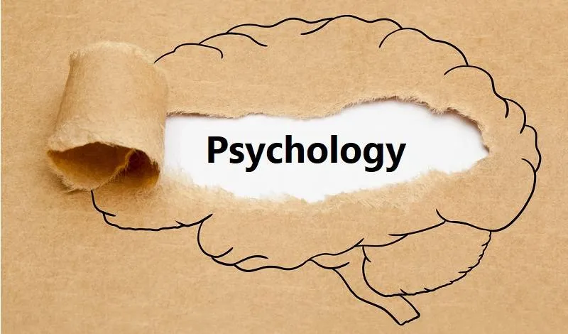 Best Universities for Psychology Research