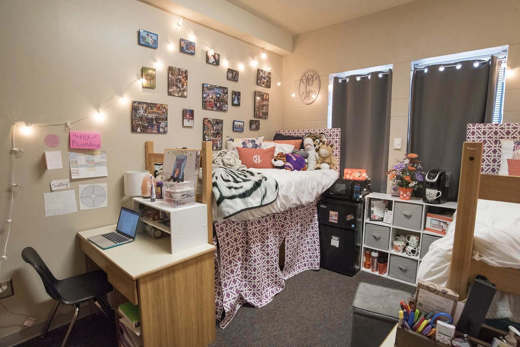 University Dormitory Options