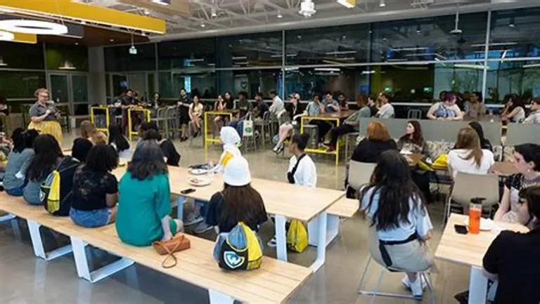 Exploring University Fashion Programs