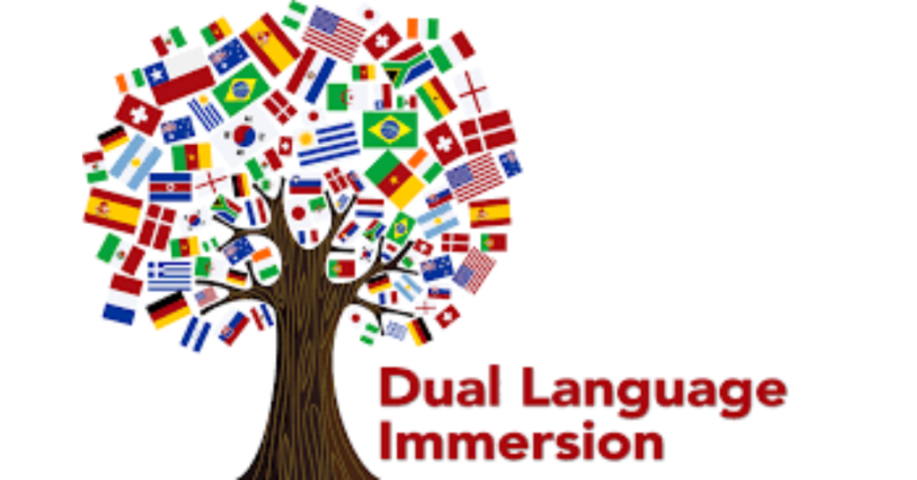 University Language Immersion Programs